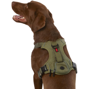 Durable Waste Bag Harness